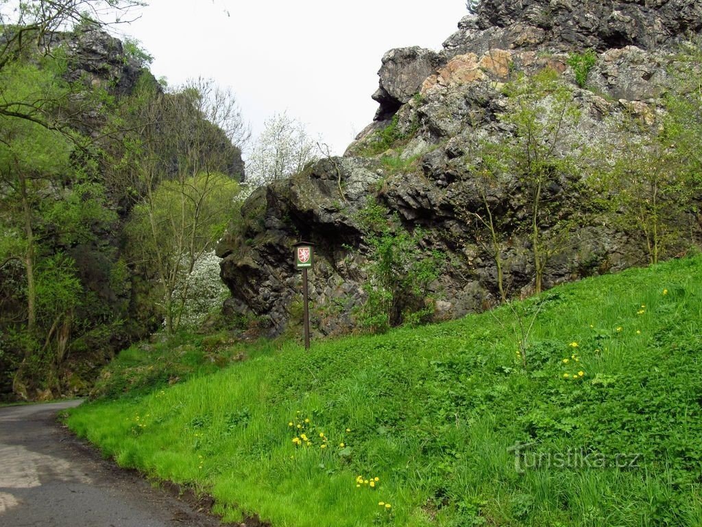 Sárka sauvage au général