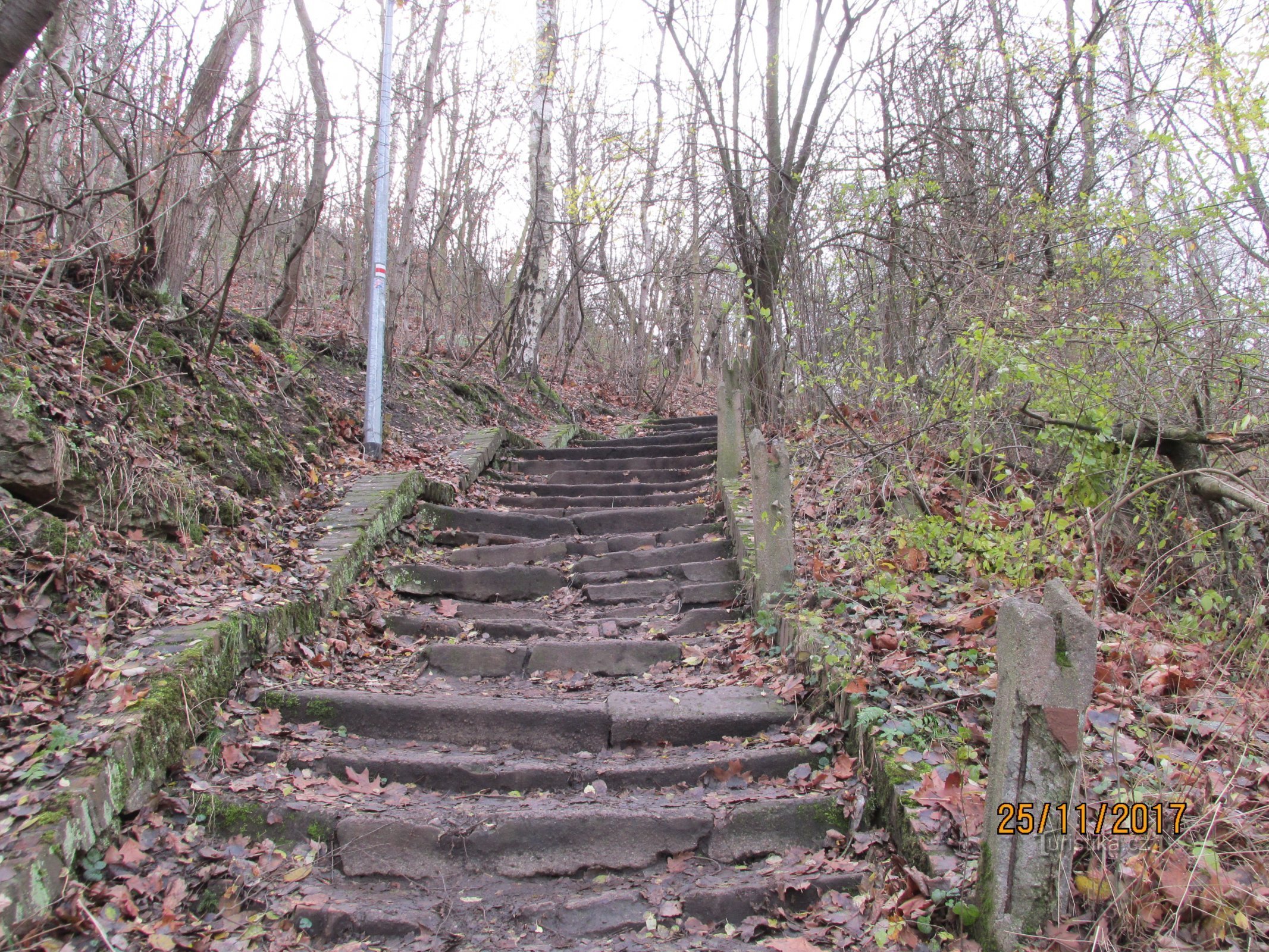 Divoka Šárka novembra