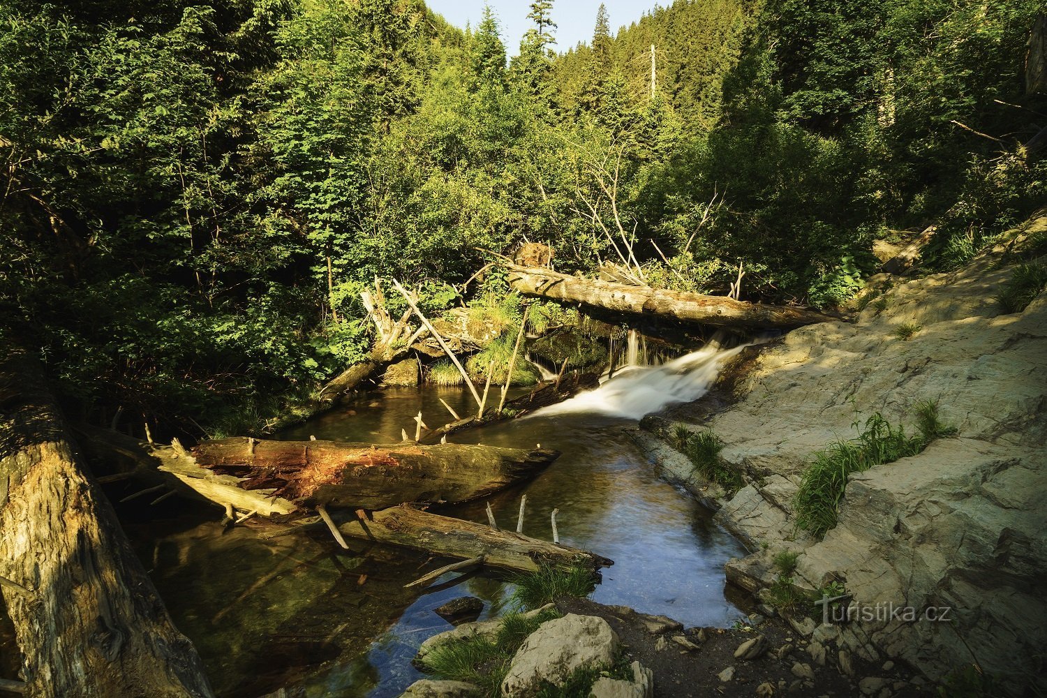 Arroyo de montaña salvaje Bílá Opava, Fuente de la foto: Pivovar Holba, Shutterstock