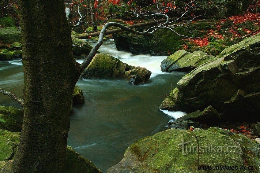 Le canyon sauvage de la rivière Doubrava