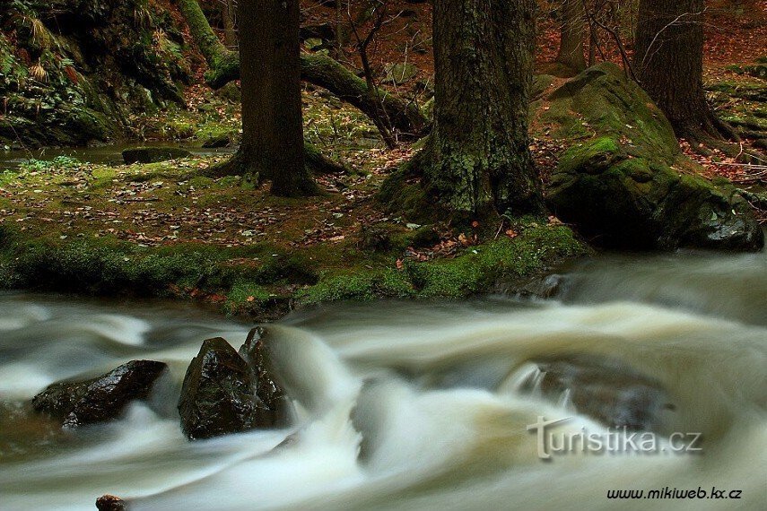 El cañón salvaje del río Doubrava