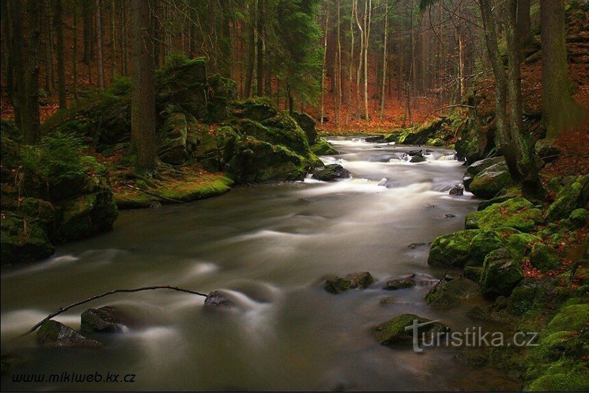 The wild canyon of the Doubrava river