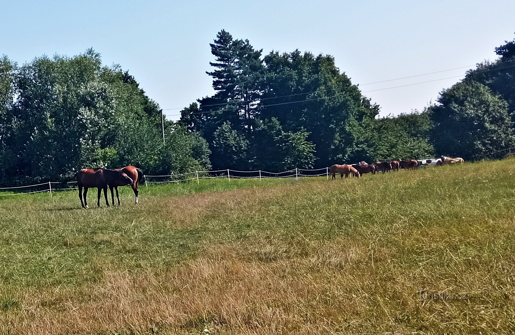 Il selvaggio West è a portata di mano al Kostelany Ranch