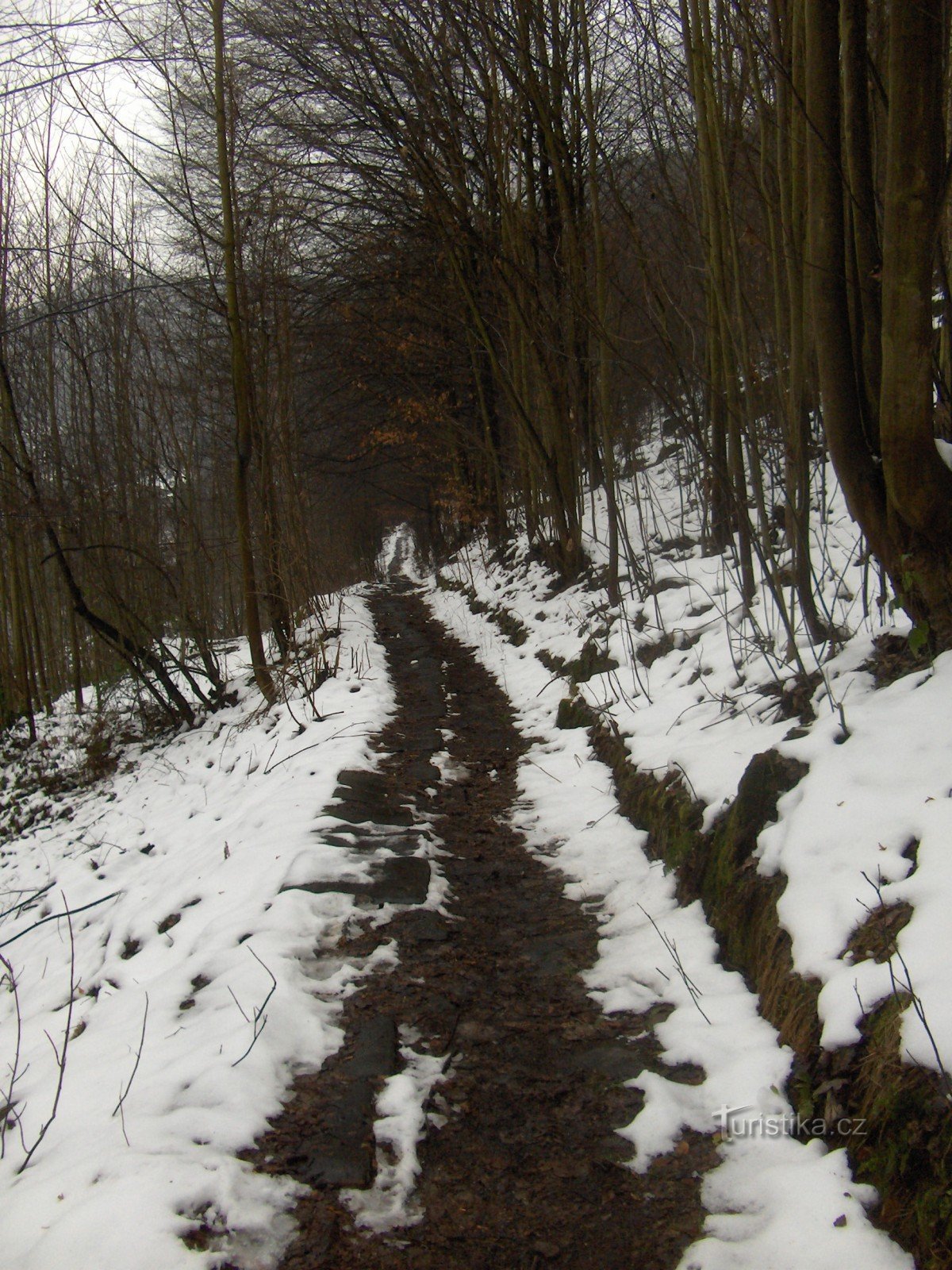 paved road to the mill