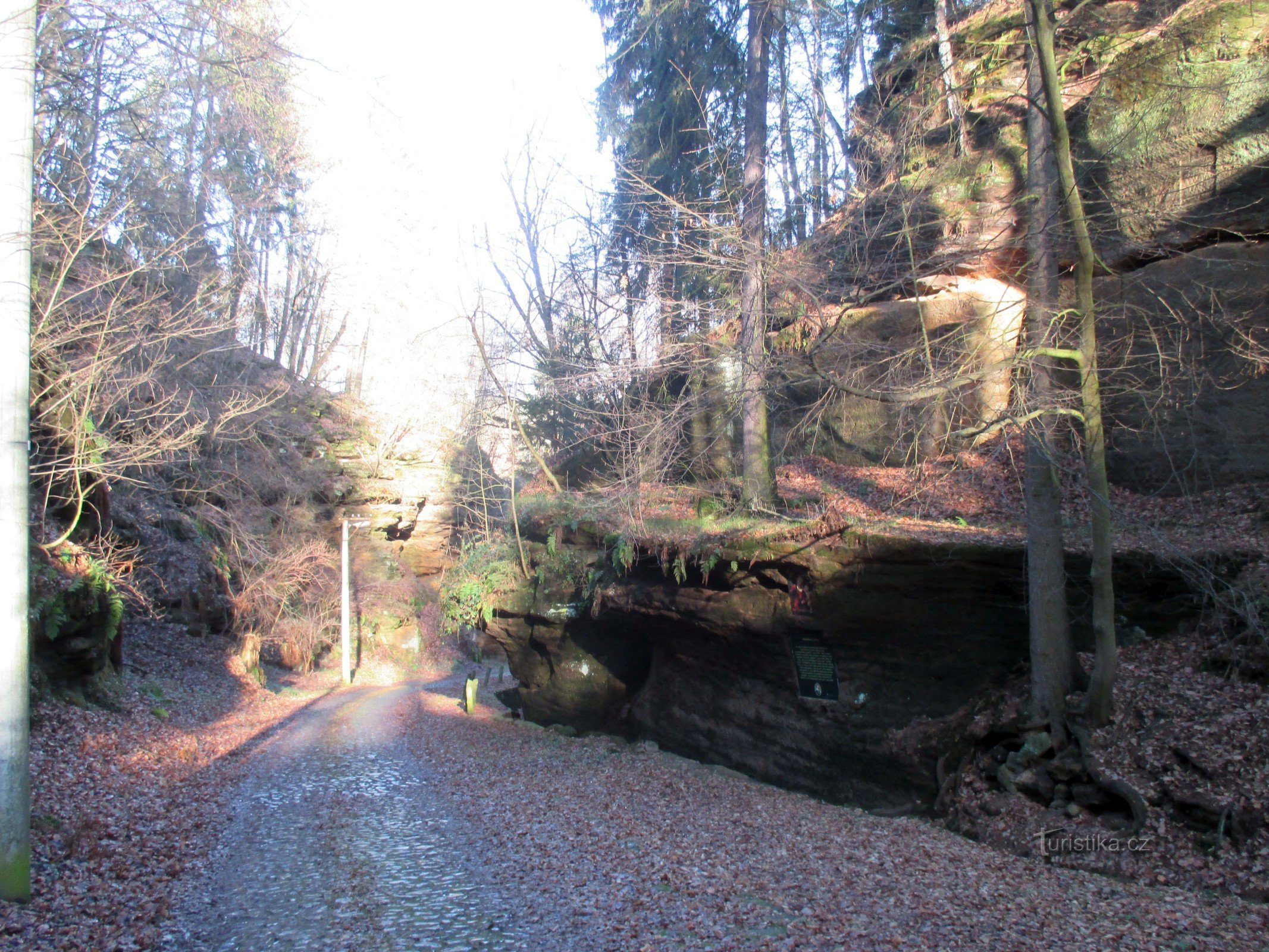 Route goudronnée (Pavlovice)