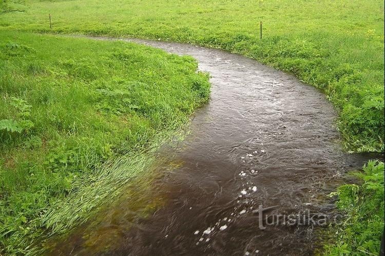 Langer Kanal: in der Nähe von Úpolínová louka