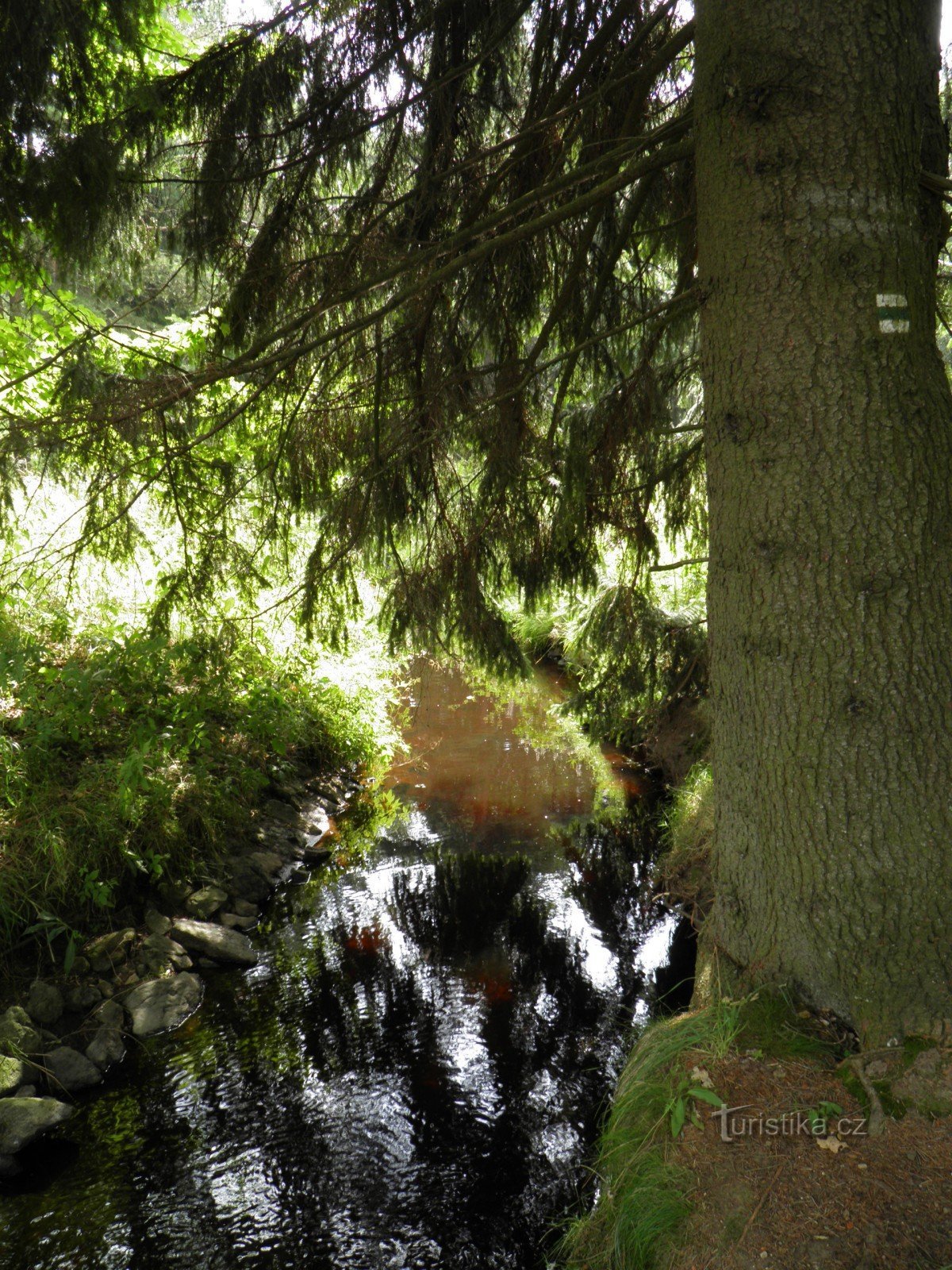 Ein langer Abfluss in Slavkovské les.