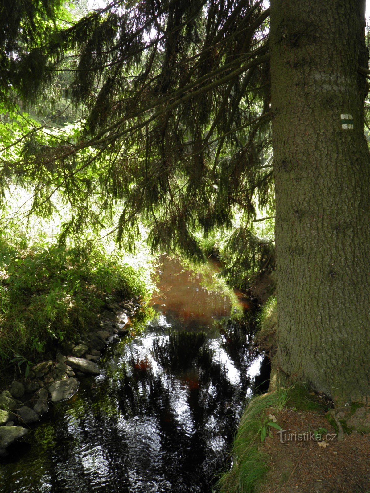 Una lunga fuga in Slavkovské les.