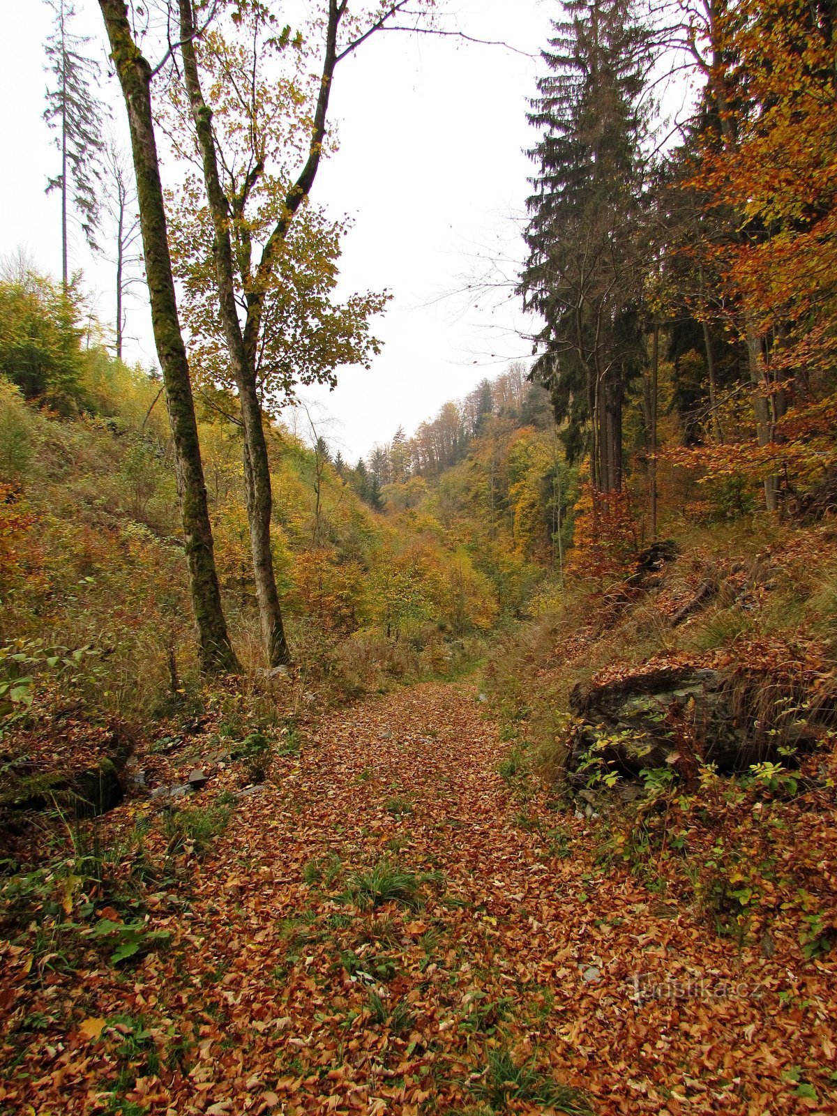 Malín Gorge Day