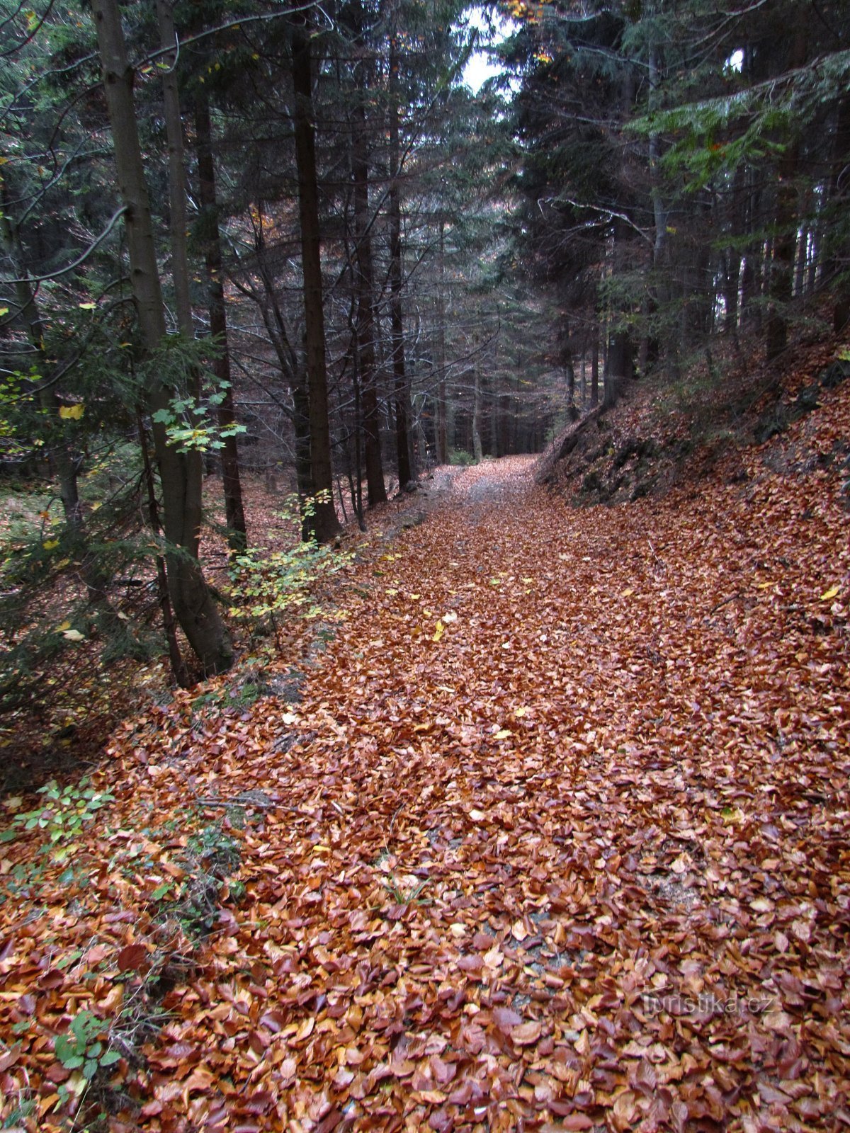 Malín-Schlucht-Tag