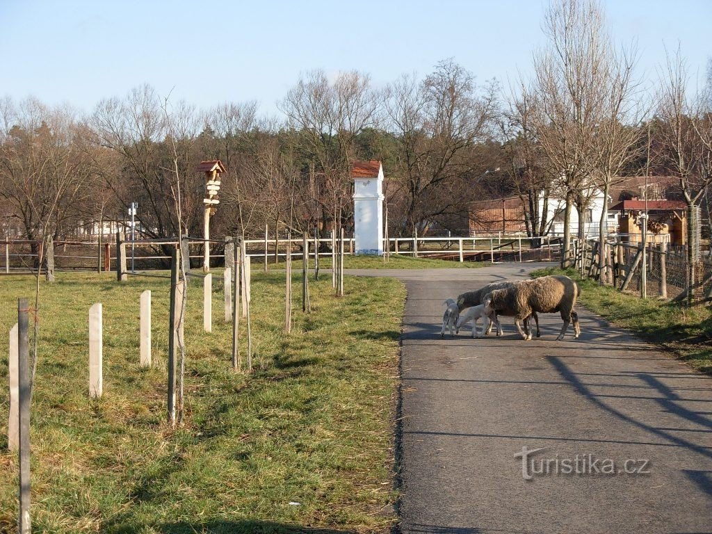 Danes se ne bomo vozili...