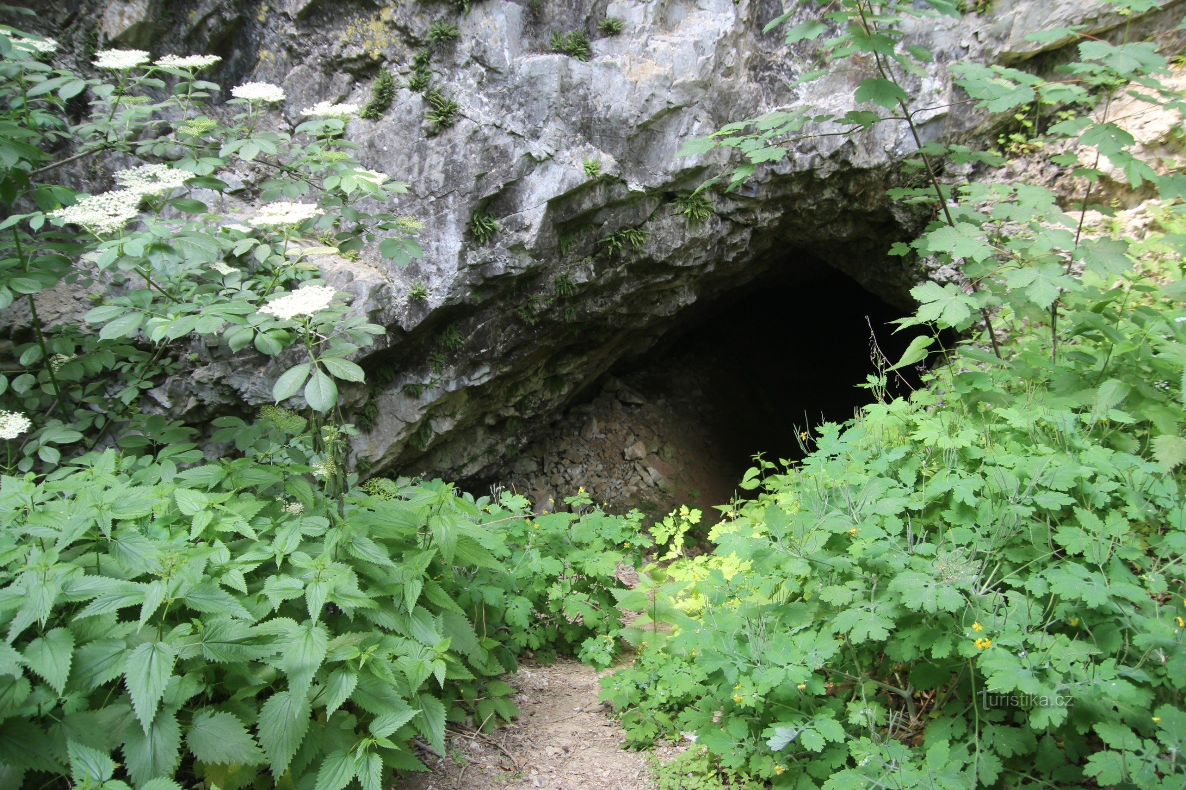 今日の洞窟入口
