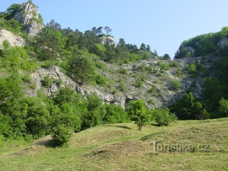 The bottom of the quarry: a view of the nature reserve