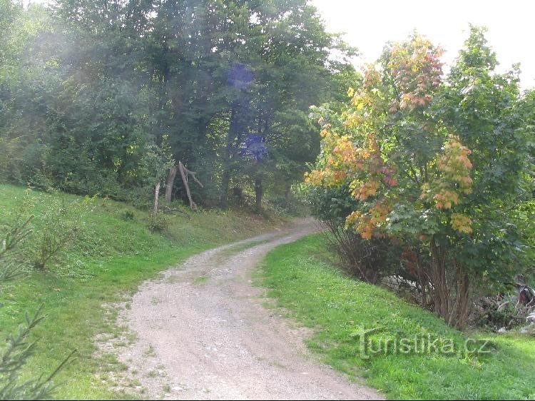 To the Long Meadows