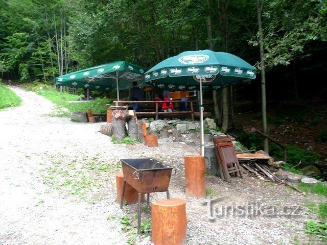 Para o Bar da Floresta em qualquer época do ano