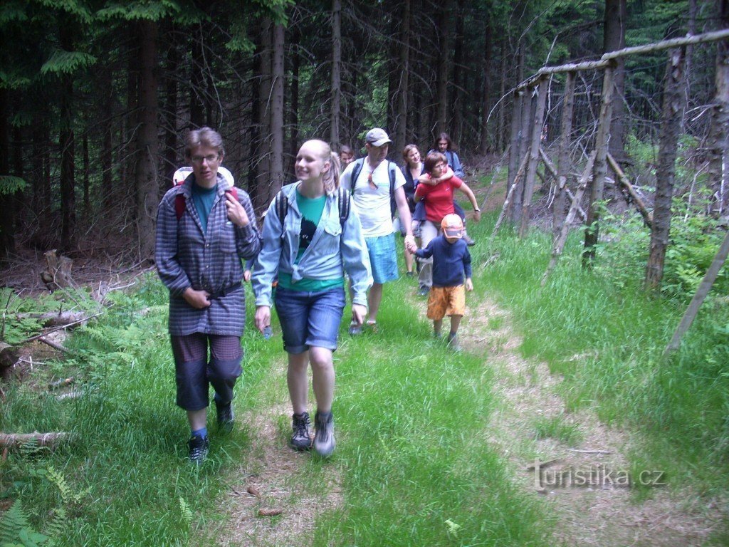 Vers la Nouvelle Forêt