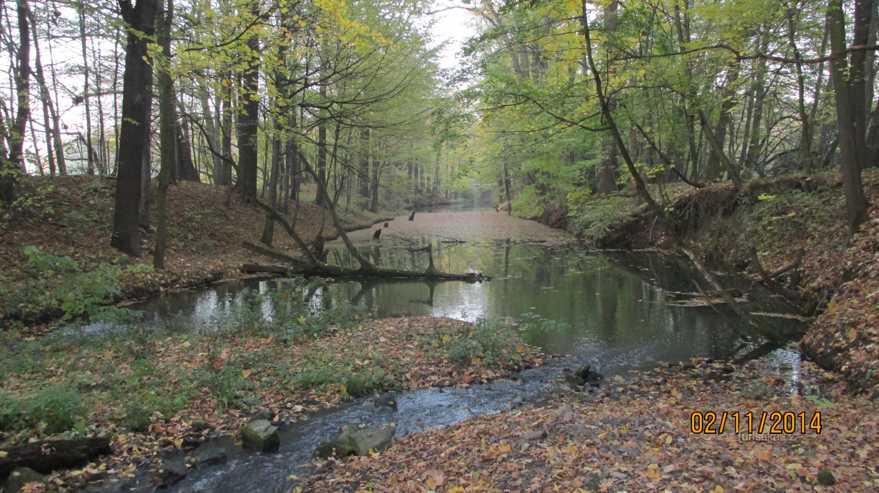 To the Rezavka nature reserve near Avion Shopping Park Ostrava