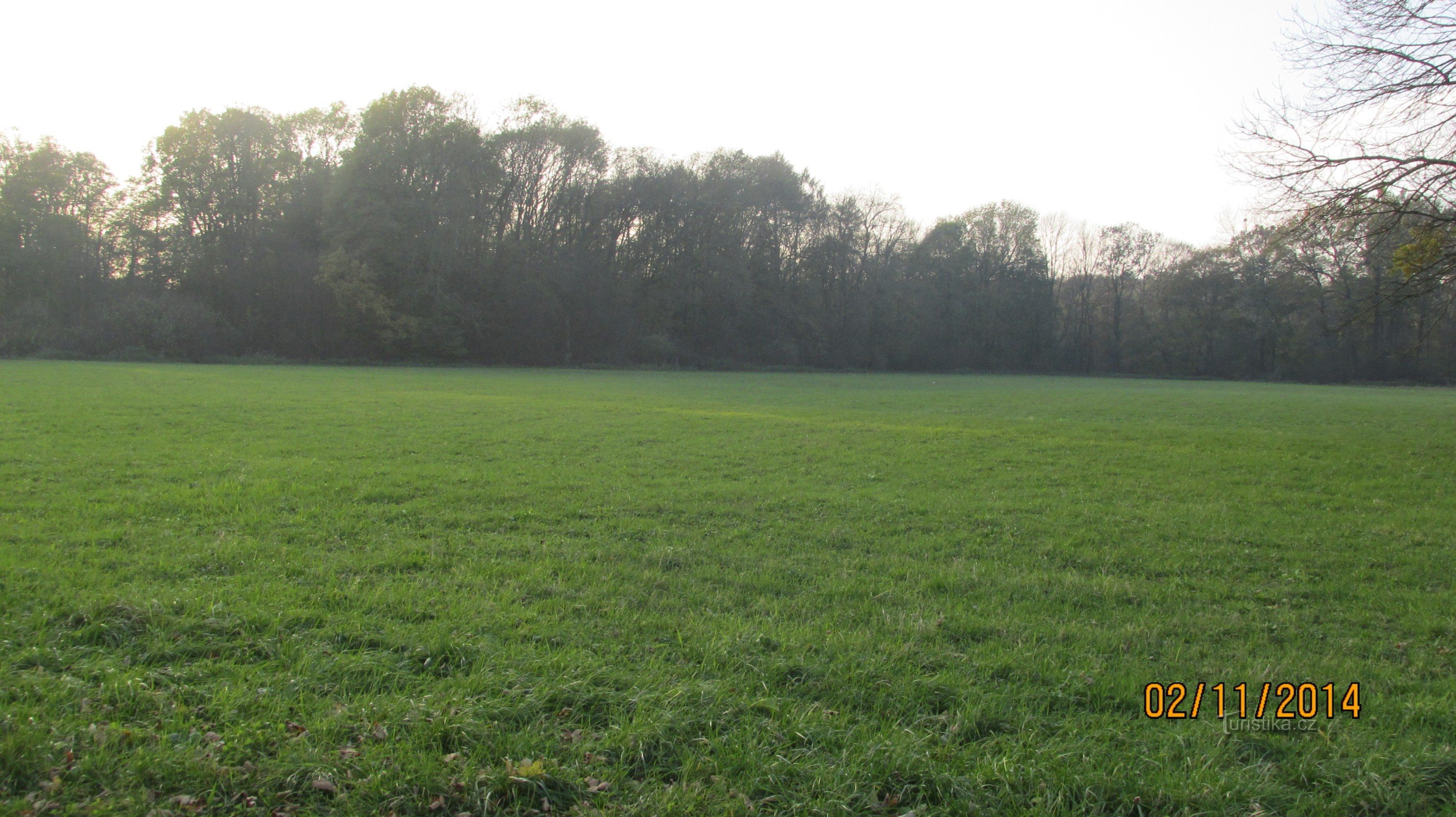 À la réserve naturelle de Rezavka près du parc commercial Avion d'Ostrava