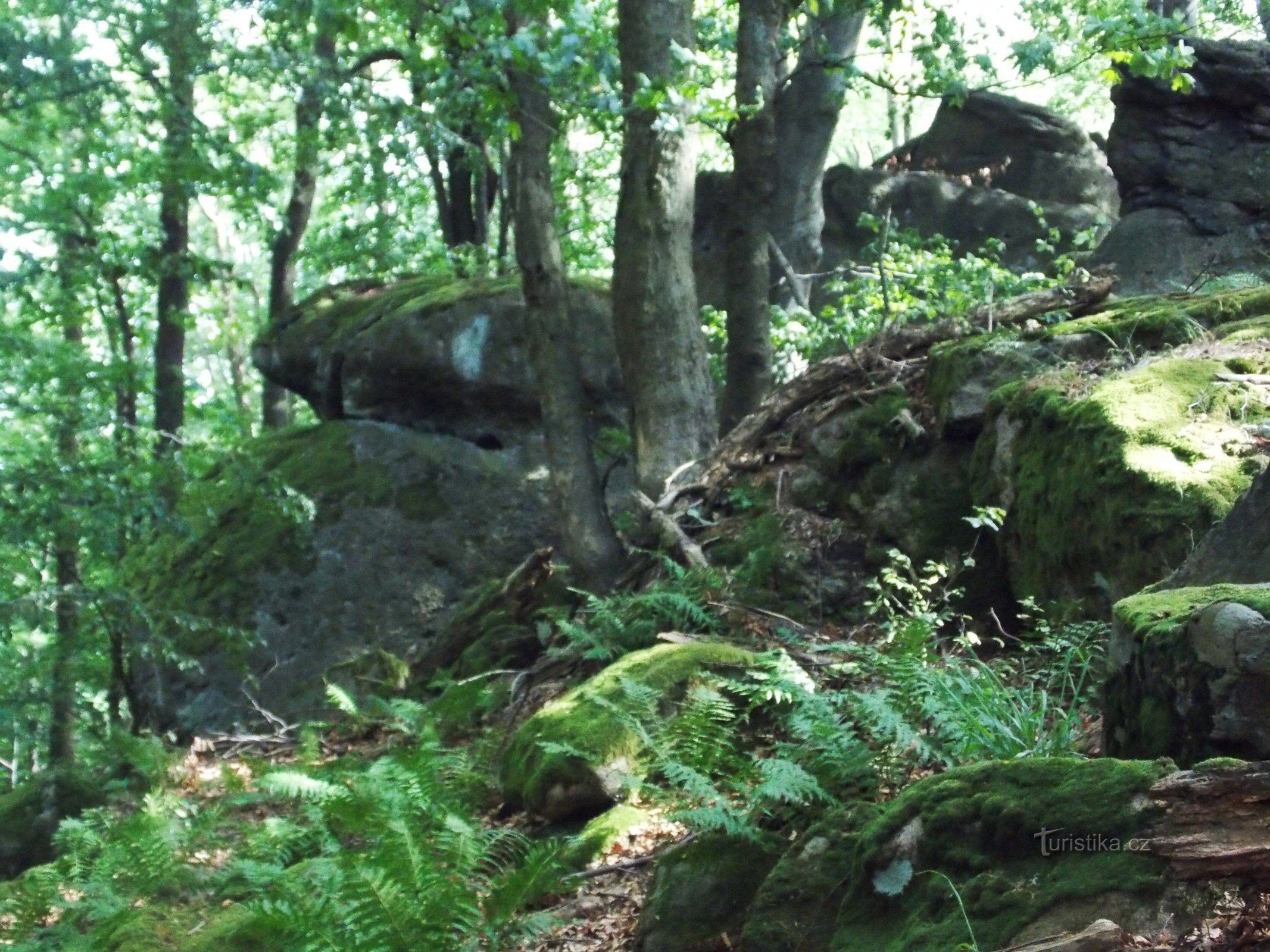 Til naturreservatet - Skaliska Sochová