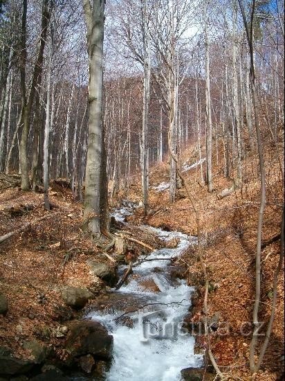 V dolino: Splošni pogled na dolino s Studencem v ozadju