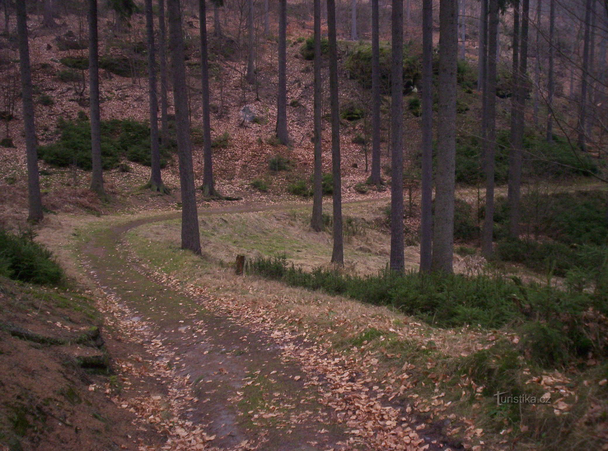 do údolí Koutského potoka