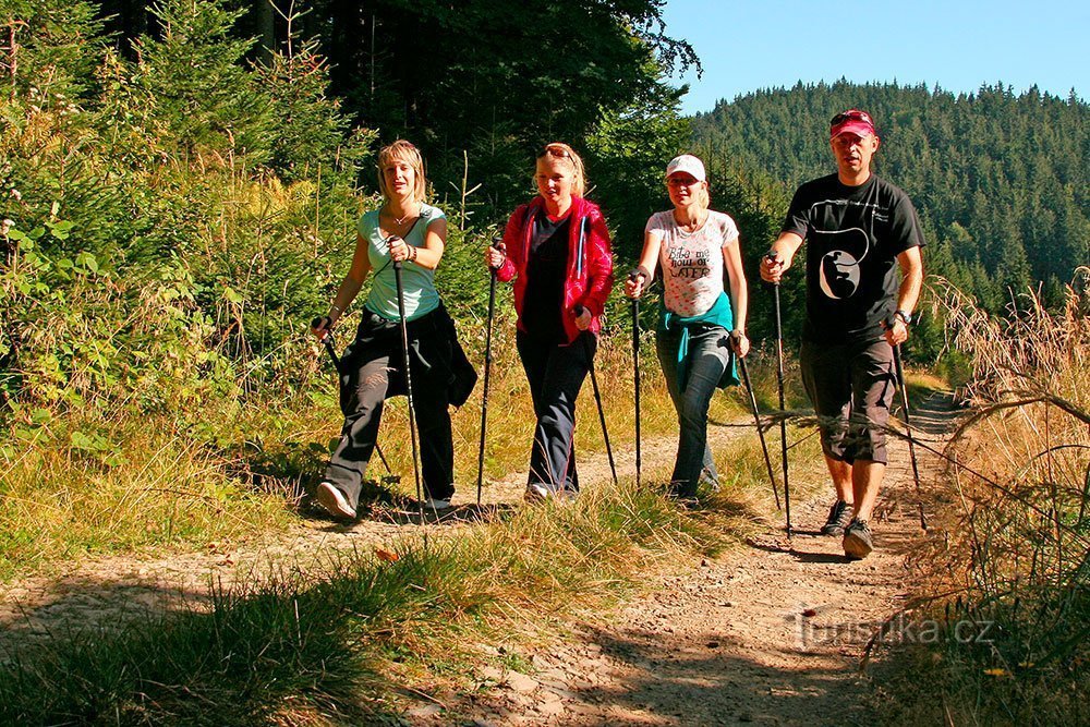 Dobře zvládnutý nordic walking je pro hubnutí lepší než běh