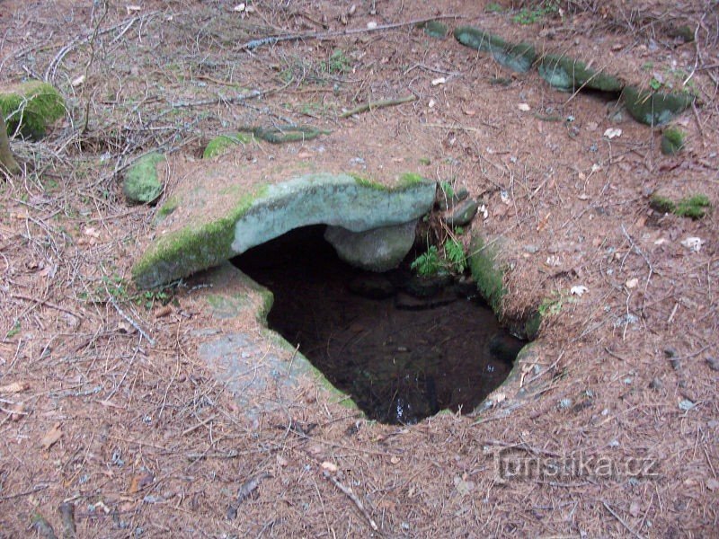 Dobrovodská studánka 1