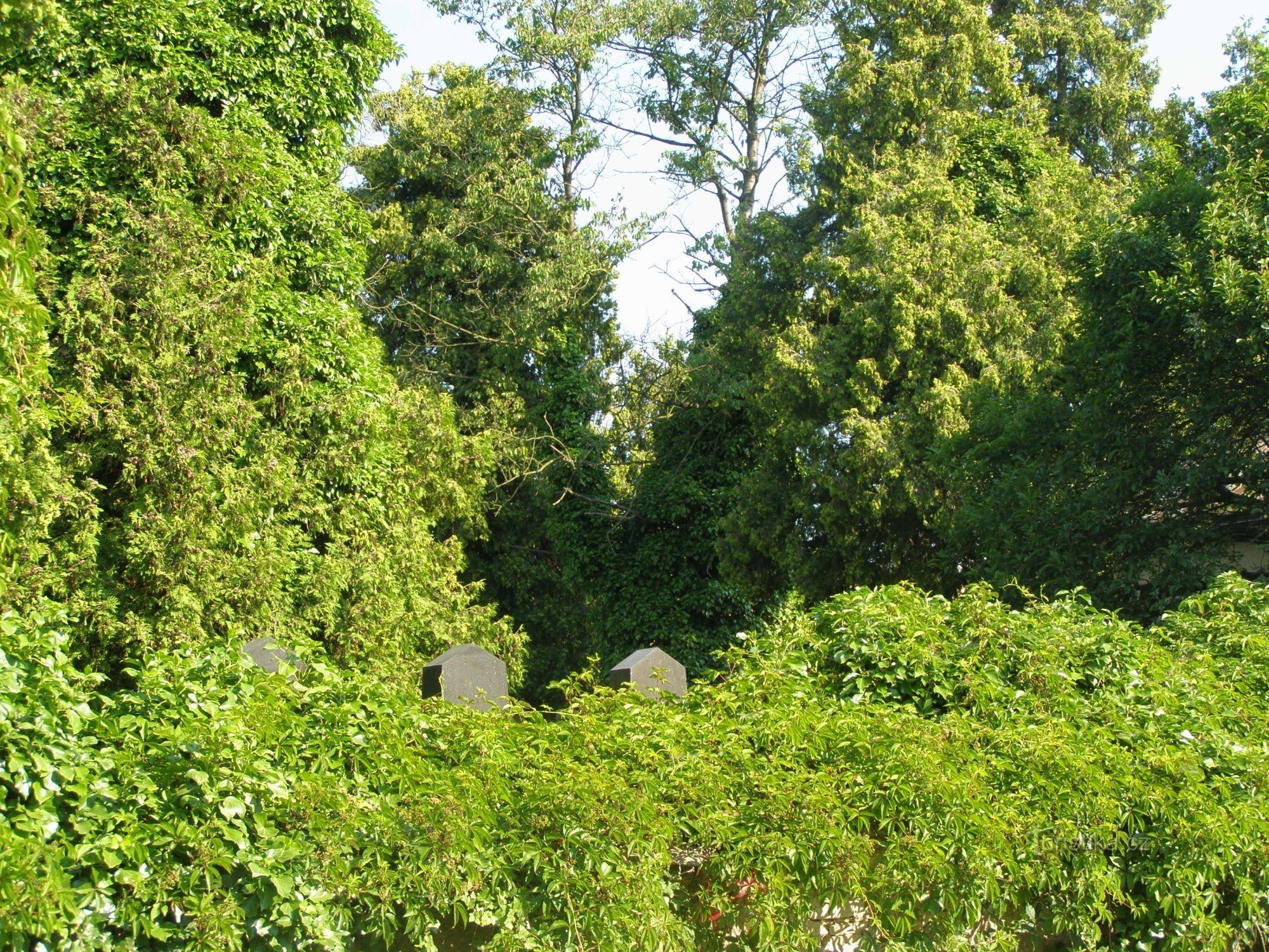 Dobruška - Cimetière juif