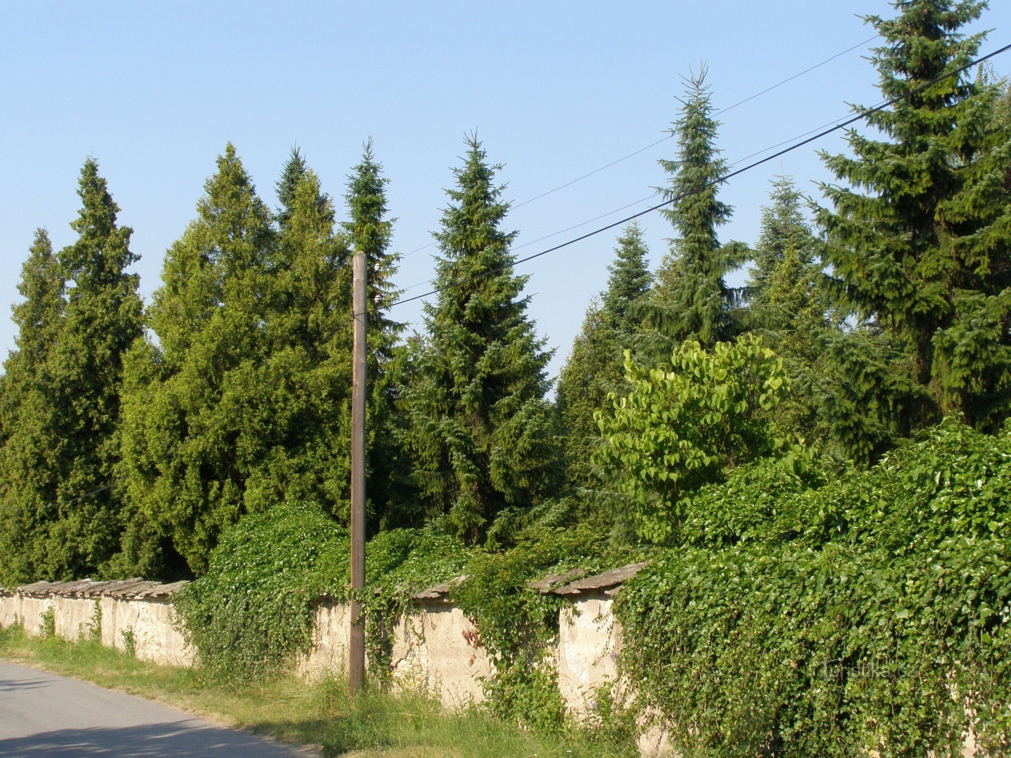 Dobruška - Cimetière juif