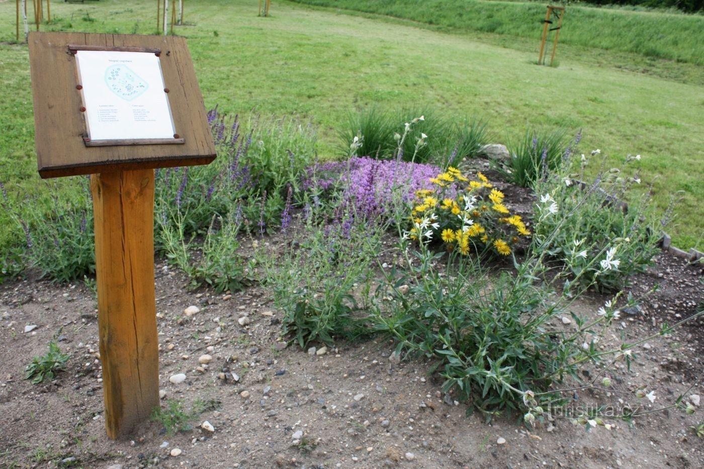 Dobšice - Radtouristischer Rastplatz