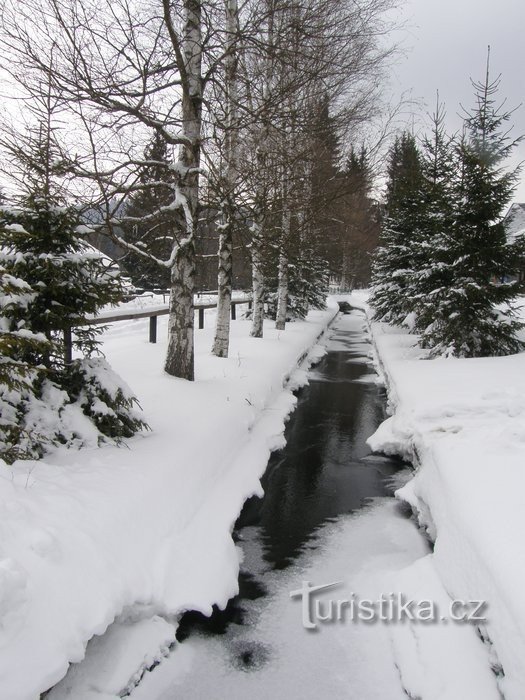 Promenade en eau préservée à Stožec