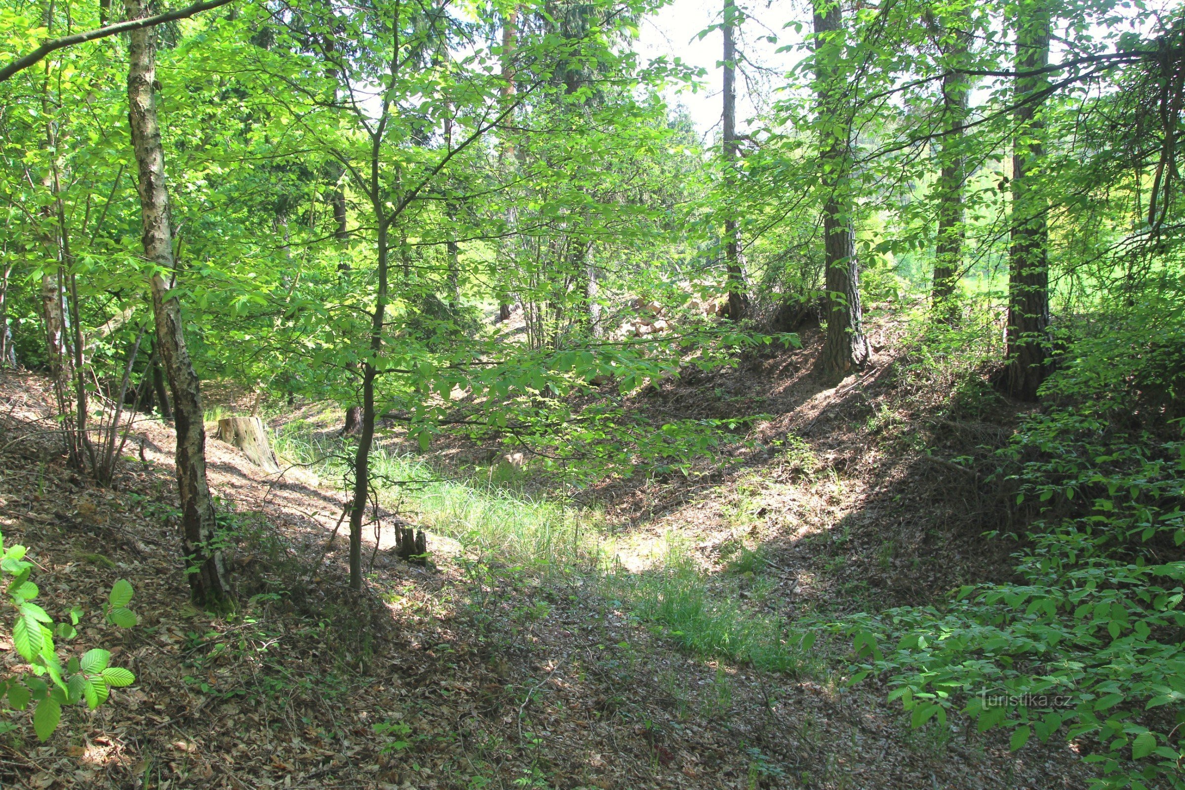 Ein bis heute erhaltener Wassergraben am Waldrand