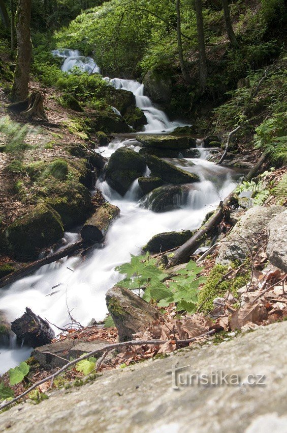 In totale, la cascata è di circa 7-8 m