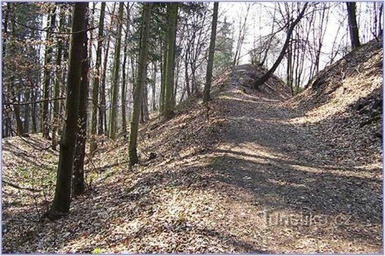 Dolany-Kartouzka-access road along the edge of the embankment and the ditch from the bistro-Photo: Ulrych Mir.