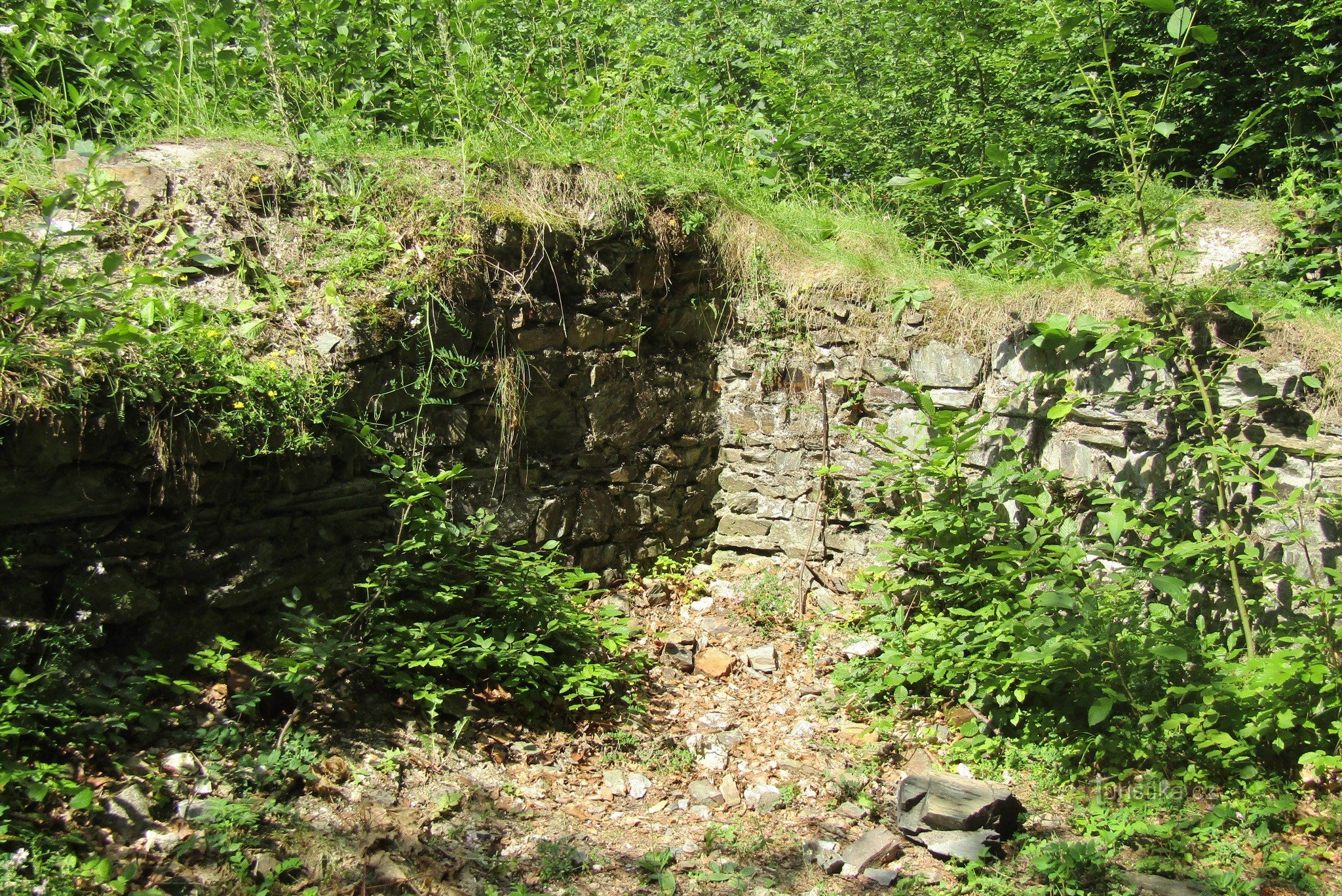Dolany - de ruïnes van het kartuizerklooster