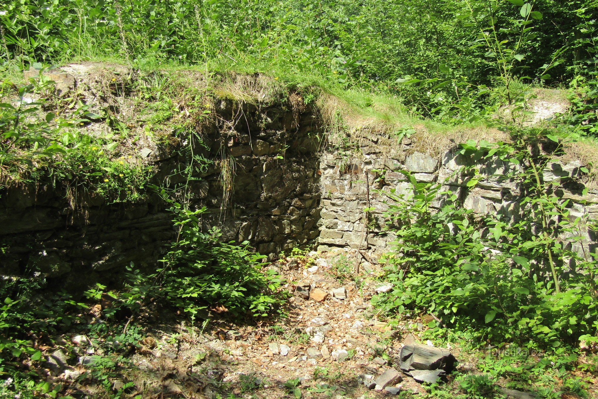 Dolany - the ruins of the Carthusian monastery