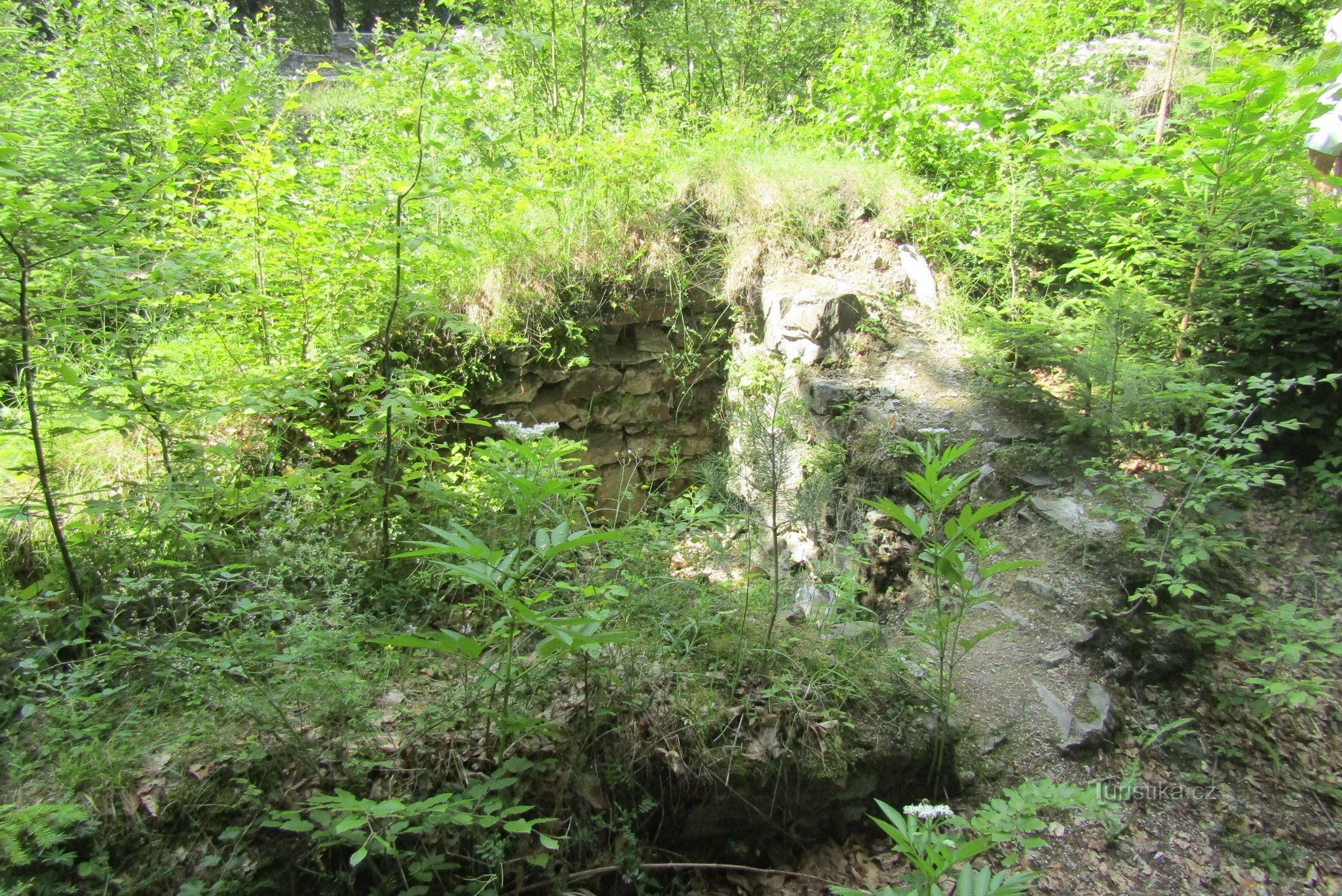 Dolany - die Ruinen des Kartäuserklosters