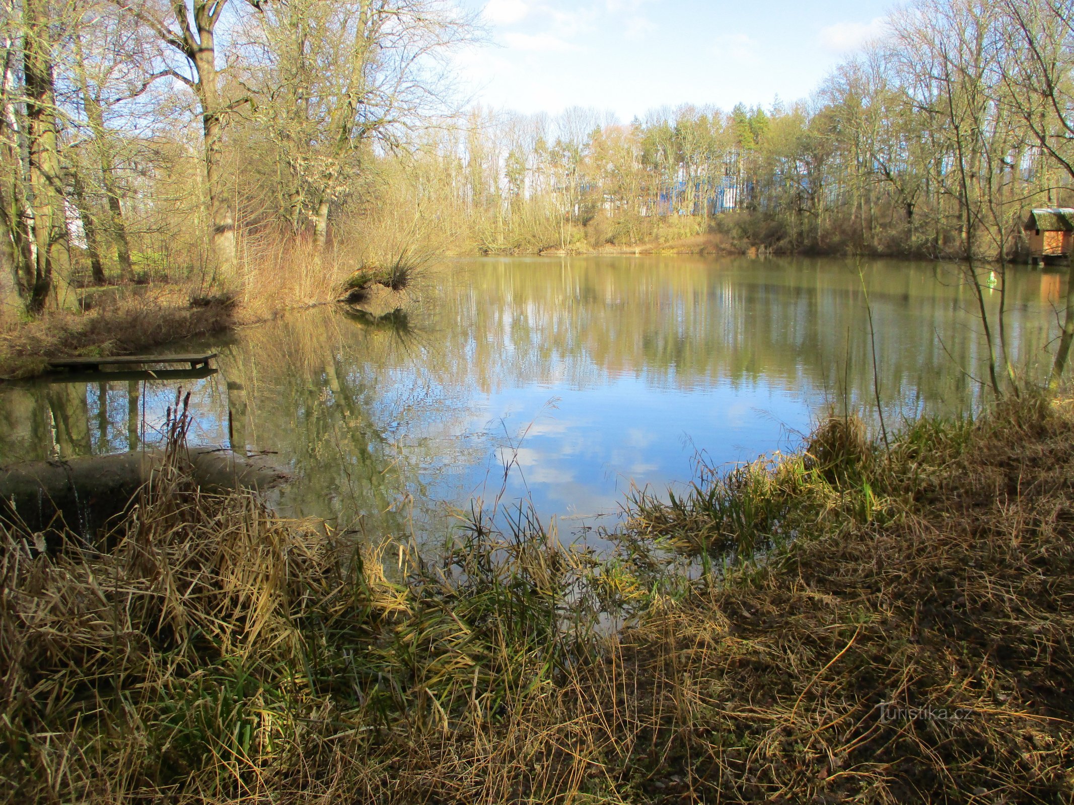 Dolecký rybník (Jaroměř, 5.2.2020)