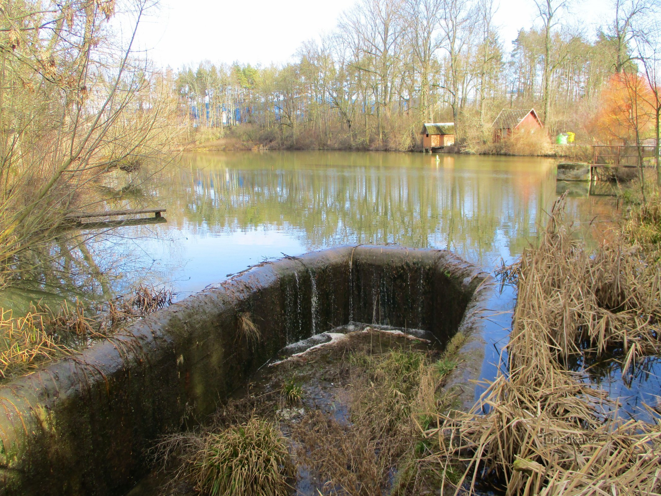 Dolecky pond (Jaroměř, 5.2.2020 Φεβρουαρίου XNUMX)
