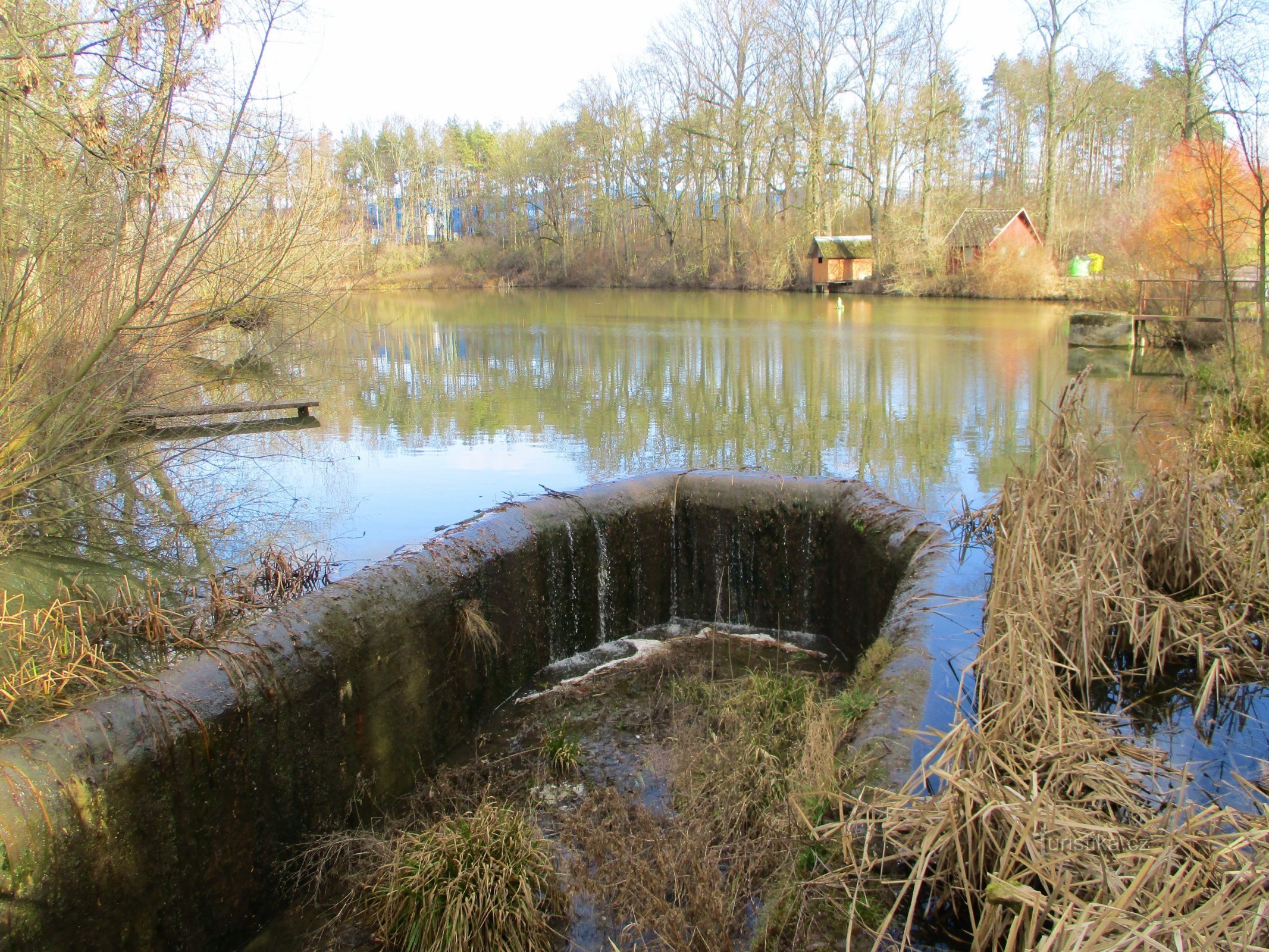 Ribnjak Dolecky (Jaroměř, 5.2.2020. veljače XNUMX.)