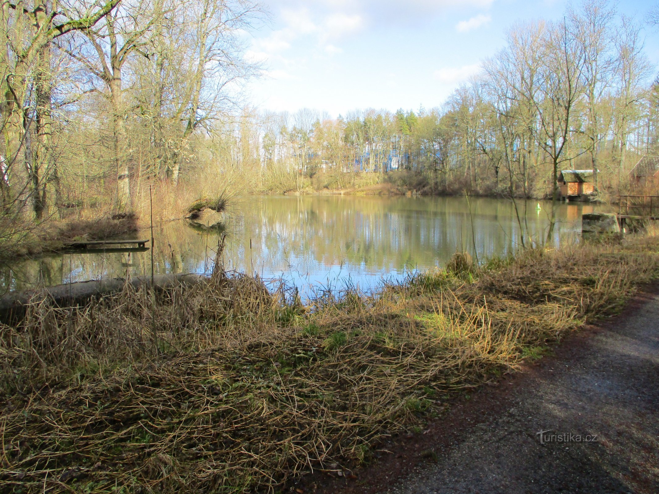 Teich Dolecky (Jaroměř, 5.2.2020. Februar XNUMX)