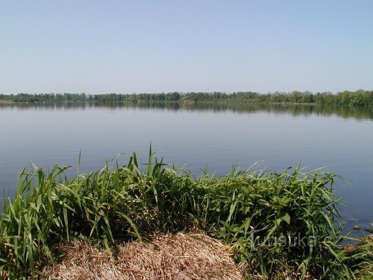 Unterer Bartošovice-Teich