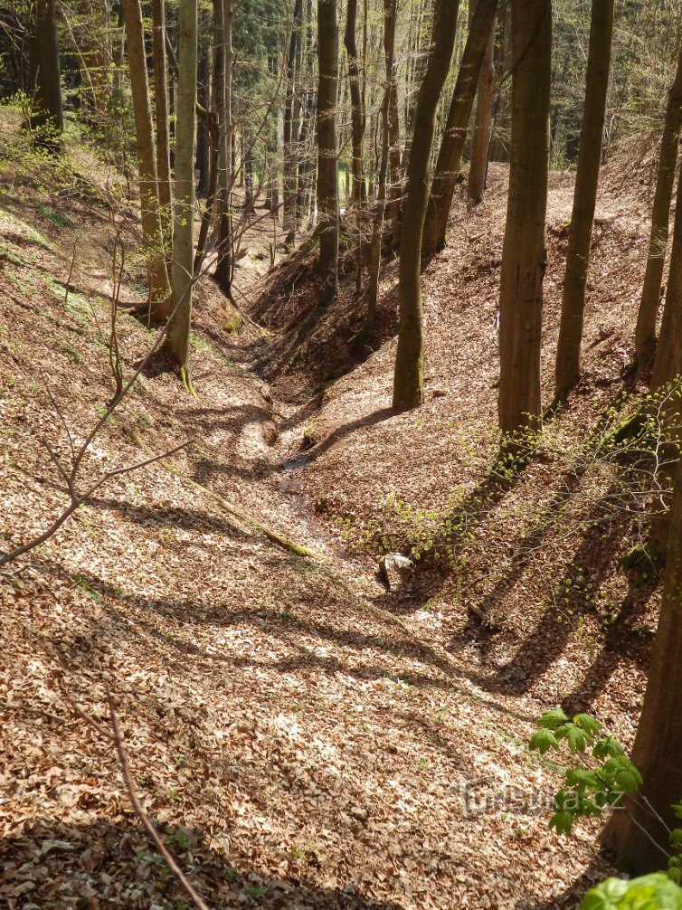 Het onderste deel van de kloof