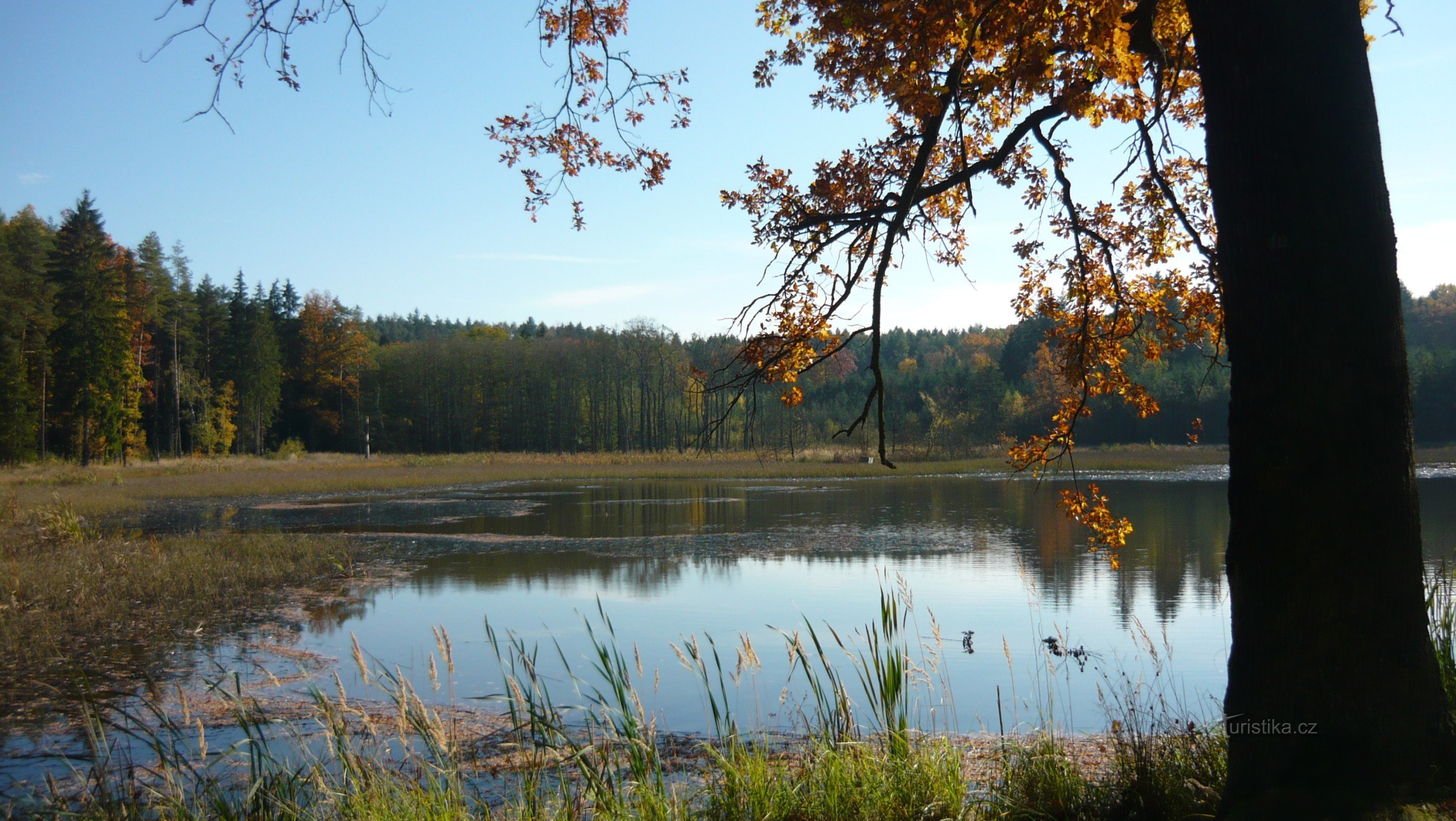 Unterer Kokot-Teich