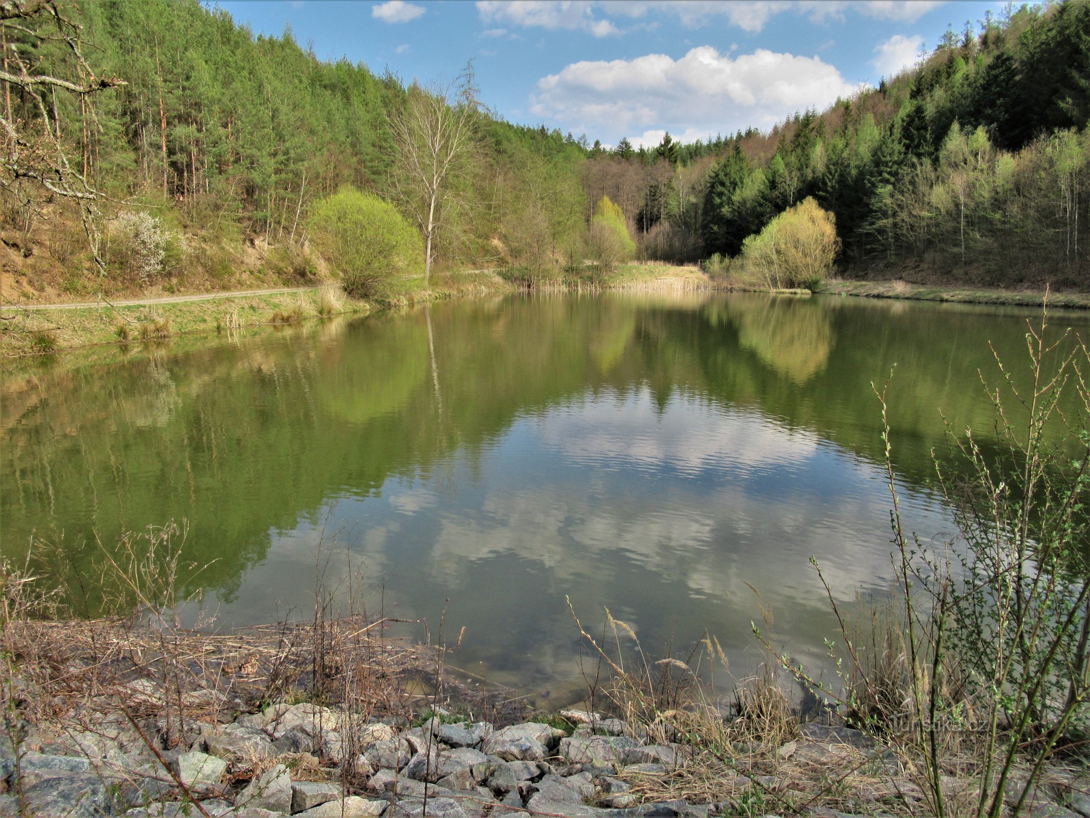 The lower pond in the spring of 2020