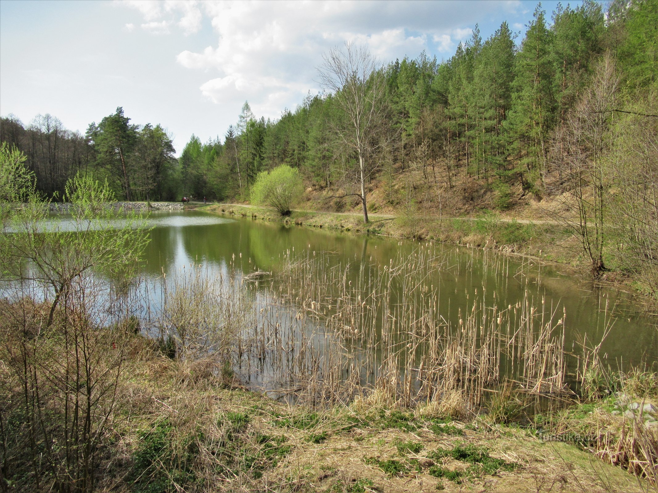 The lower pond in the spring of 2020