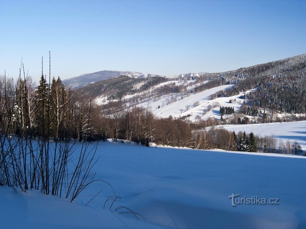 Valea Inferioară