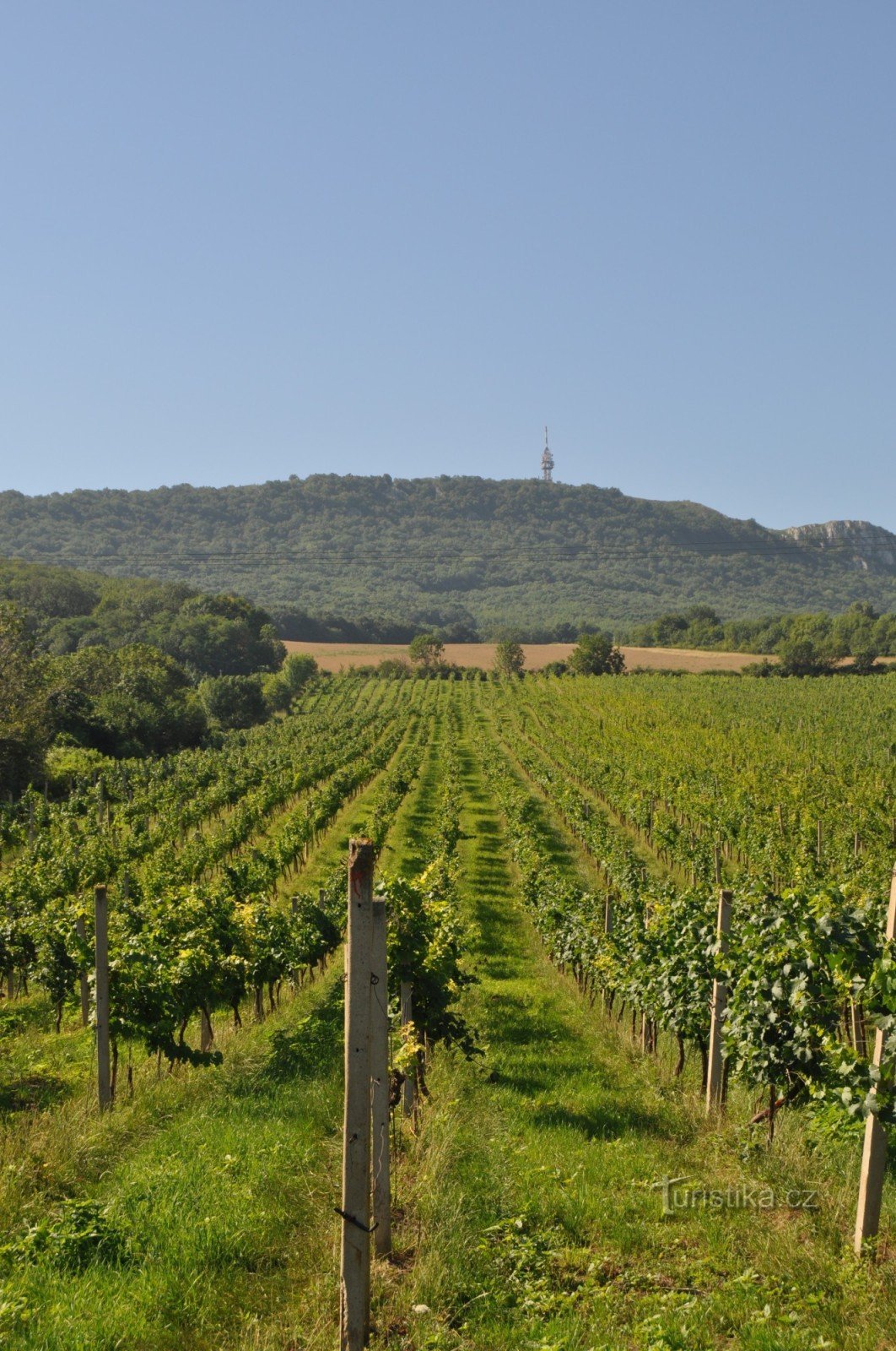 Dolni Věstonice - Devín - Mikulov