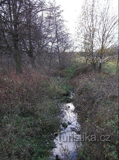 Arroyo Dolnonětčický: Arroyo