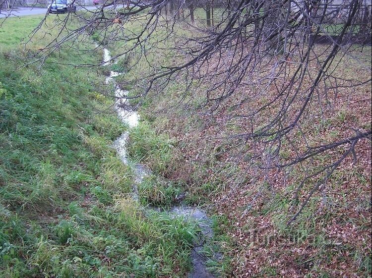 Dolnonnětčický potok: Potok u Dolní Nětčicama